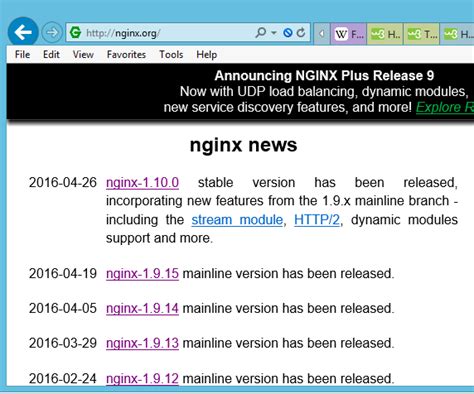 Image result for Nginx ConfigServer