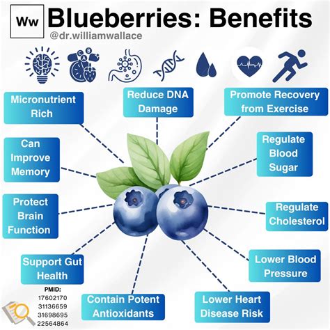 William Wallace, Ph.D on LinkedIn: 11 Evidence-based Health Benefits of Blueberries: 1) Nutrient ...