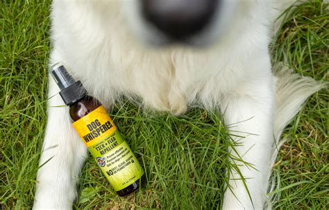 Tick + Flea Natural Repellent Spray - Hoss & Duke's Pet Food