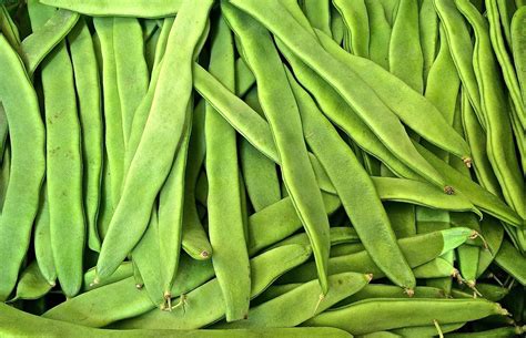 Flat Bean Varieties at Rita Clark blog