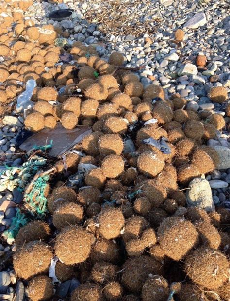 Interesting Objects 的图像结果