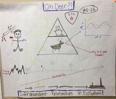 Free Science Lessons Ecosystem 的图像结果