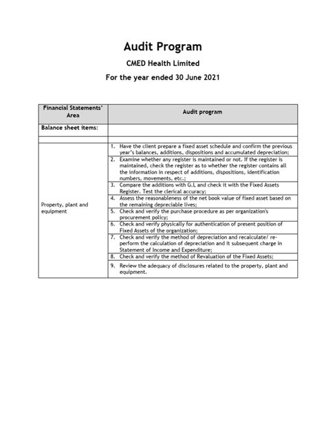 Audit Program 的图像结果