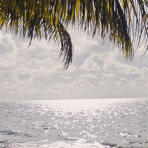 SILVER SAND BEACH RESORT, HAVELOCK (Havelock Island, Andaman and ...