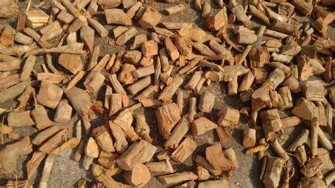 Bildergebnis für salacia