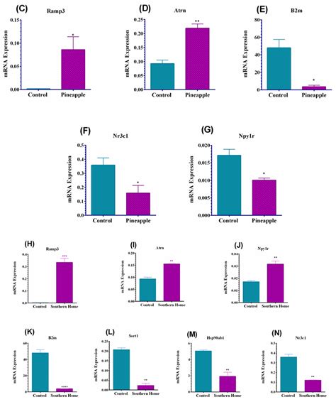 The Anti-Obesogenic Effects of Muscadine Grapes through Ciliary ...