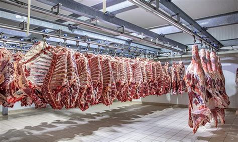 Image result for Field Beef Processing
