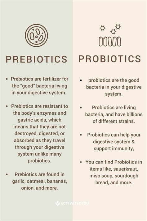 Prebiotics Vs Probiotics 🌿 | Giải phẫu học