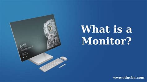 Image result for Monitor Function