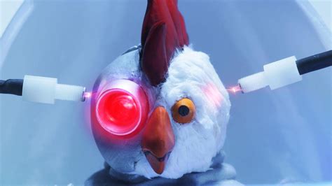 Robot Chicken Steven 的图像结果