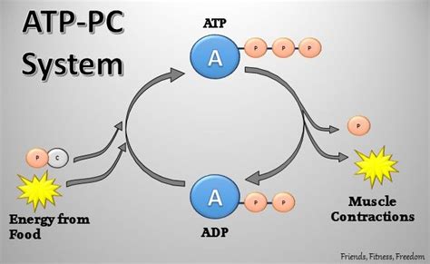 Image result for Object Oroemted Programming Python Summary
