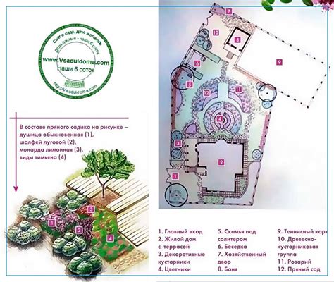 Пряные травы на огороде - какие, где и как посадить | Сайт о саде, даче ...