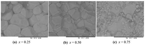 Ferrimagnetic Ordering and Spin-Glass State in Diluted GdFeO3-Type ...