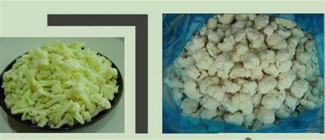 IQF/Frozen Cauliflower Florets Manufacturers and Suppliers from Bangalore