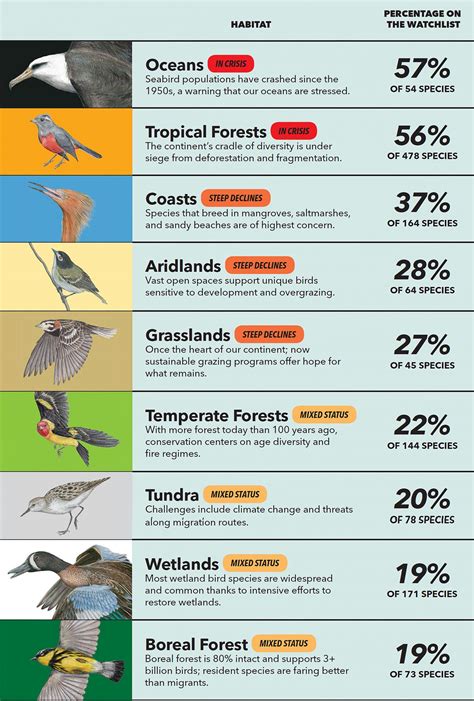 The State of North America’s Birds: How Are Birds Faring in North American’s Nine Major ...