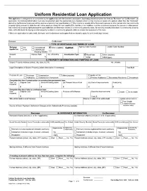 100 Loan Application 1003 - Calvet Ca - Fill and Sign Printable ...