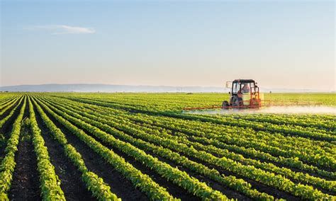 Intensive Farming 的图像结果