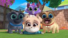 puppy pals wallpaper a new pup in town the last pup icorn puppy pals wallpaper a new pup in town the last pup icorn
