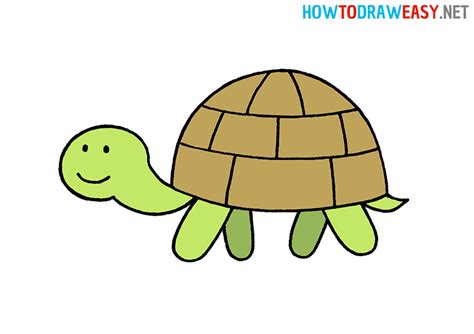 Image result for Simple Turtle Drawing