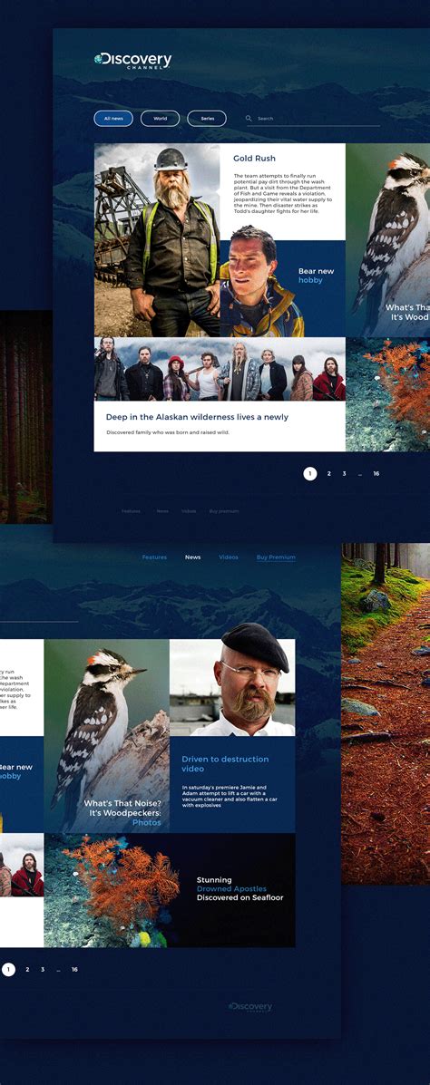 Image result for Discovery Channel Python