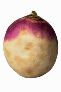 justcooking.in - Food Dictionary - Vegetables - Rutabaga