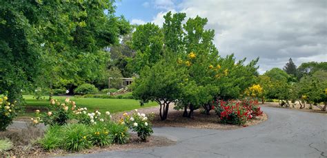 Holbrook - Palmer Park | Atherton, CA - Official Website