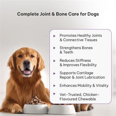 Best Joint Supplement for Dogs and Cats | SHELLTREK Glucosamine Tablets