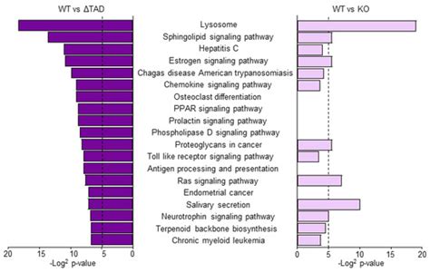 CEBPD Potentiates the Macrophage Inflammatory Response but CEBPD Knock ...