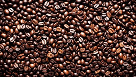 Image result for How to Get Array Length in JavaScript