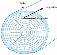 Image result for Tangential