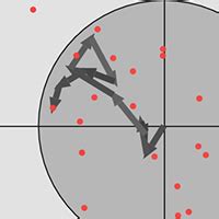 Random Walk Simulation 的图像结果