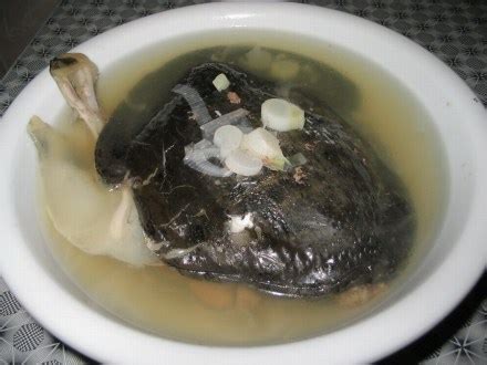 甲鱼汤怎么炖补肾效果好，清炖一定要加上这几样保健食材 — 爱达夫养生