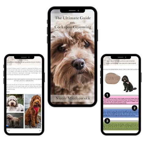 Image result for Cockapoo Grooming