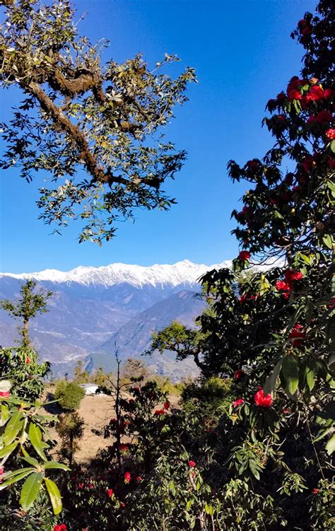 Chopta Chandrashila Tungnath 3 Days Trek 2026 - Weekend Trek