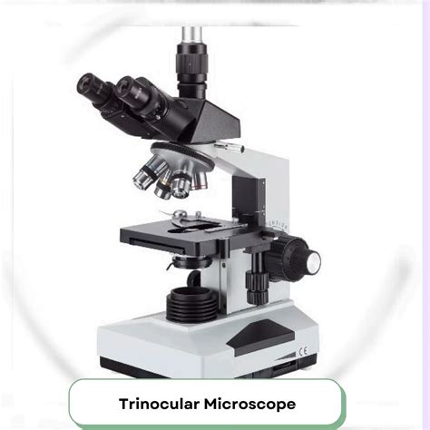 What are some Different Types of Microscope? | PDF