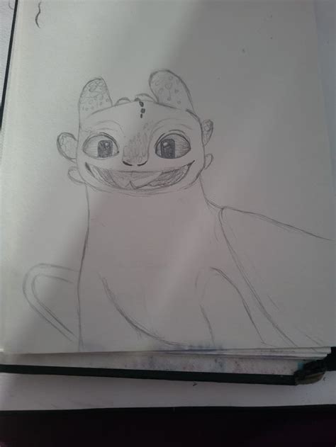 Image result for Httyd Toothless Outline