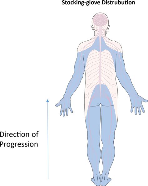 Frontiers | Diabetic complications and prospective immunotherapy