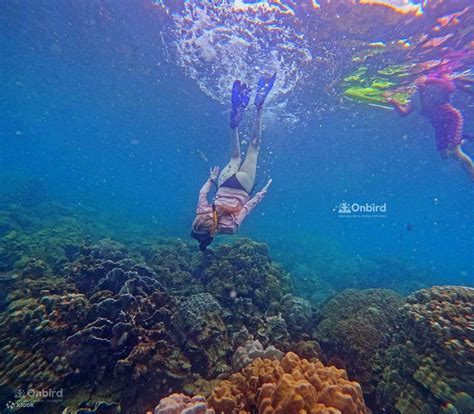 Snorkeling Day Tour with Speedboat in Phu Quoc, Vietnam - Klook India