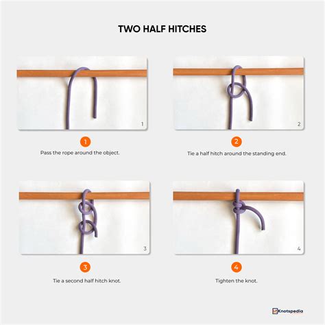 Types of Knots: 25+ Essential Knots Everyone Should Learn