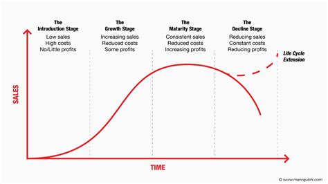 4 Stages of a business life cycle on the way to success
