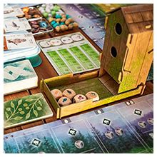 Buy Genius Games Cytosis: a Cell Biology Game Board Online at Low ...