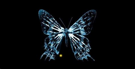 什么是蝴蝶效应 | 集智百科 | 集智俱乐部
