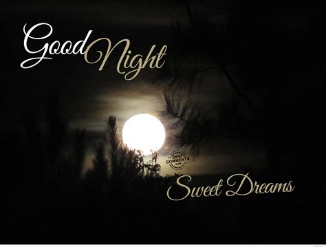 Good Night, Sweet Dreams - Desi Comments