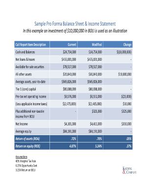 Sample Pro Forma Balance Sheet &amp; Income Statement - Fill and Sign ...