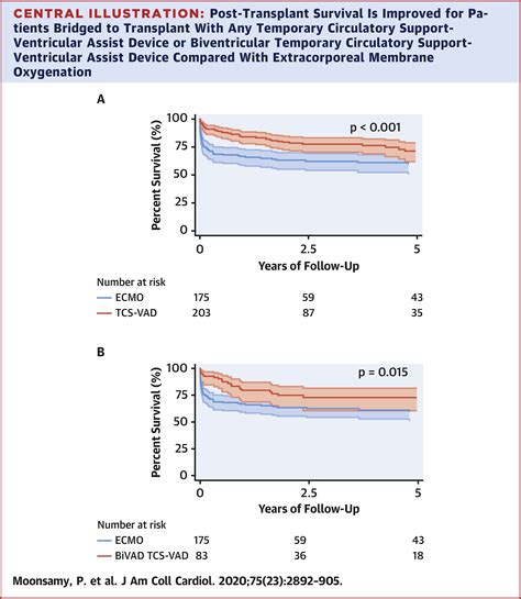 Survival After Heart Transplantation in Patients Bridged With ...