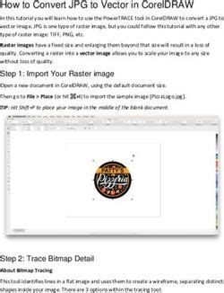 How to Set CorelDRAW to Vector 的图像结果