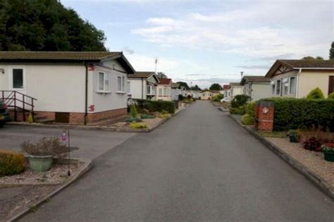 Town Script Pastebin 的图像结果