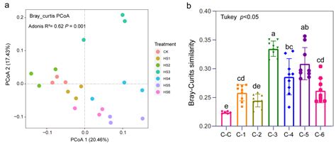 Structural and Functional Analysis of the Bacterial Community in the ...