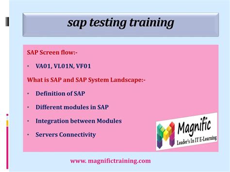 SAP Testing Training 的图像结果