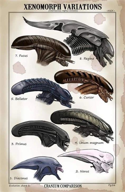 Alien Evolution Chart 的图像结果
